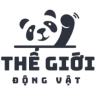 thegioidongvatvn