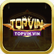topvinvin