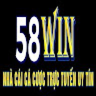 58winvipskin