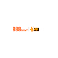 888Nowvncom