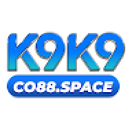 k9k9life