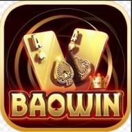 baowin1org1