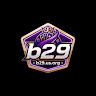 B29usorg