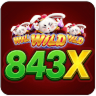 843xorg