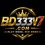 bd333v7com