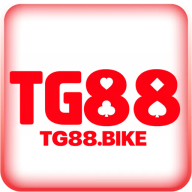 tg88bike