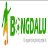 bongdalu7com